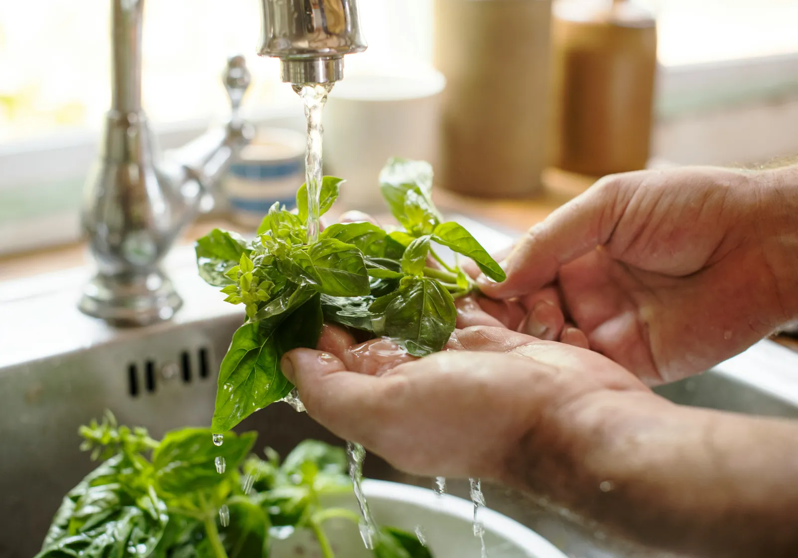 Hands rinsing fresh basil under a running kitchen tap